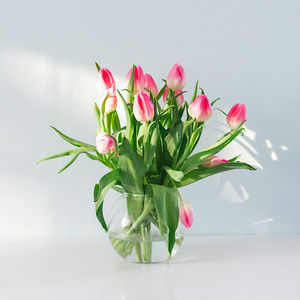 Meet your Posher, Anu